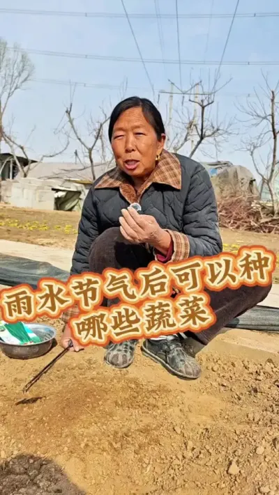 二十四节气雨水 雨水节气后可以种哪些蔬菜#二十四节气 #雨水 #应季蔬菜时间表 #蔬菜种植 #生菜杨姐 @DOU+小助手