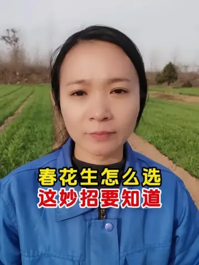 高产花生种子有哪些 #花生种子 #花生种植 #花生 #今日三农爆款