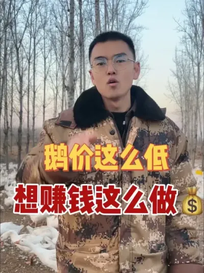 如今鹅价行情低迷，如何做才能破局？怎么样才能在现在这种行情里养鹅赚到真金白银？不难，我教您，且听我来细说！#养鹅技术分享 #养鹅人 #养鹅技术找晓雨