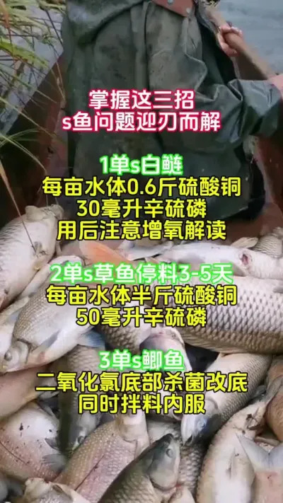 鱼塘出现死鱼，你就按这个方法做 #水产养殖 #四大家鱼 #高密度养殖 @抖加🔥上热门🔥dou+🔥热点宝
