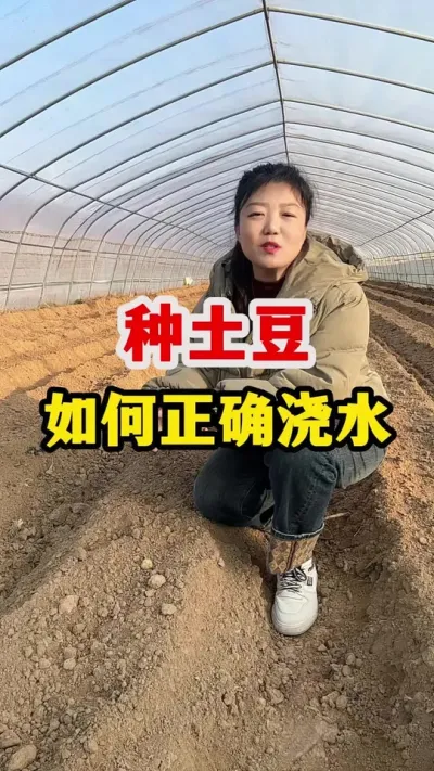 种土豆怎么正确浇水#土豆高产种植 @抖音小助手 #土豆
