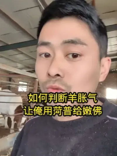 如何判断羊胀气#养羊技术分享 #农村养羊 #养羊技术 #养羊知识 #养羊