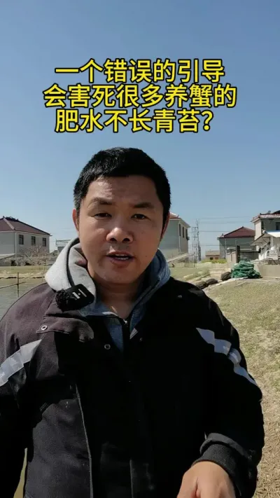 肥水不长青苔，太不长记性了 #水产养殖 #三农流量扶持计划