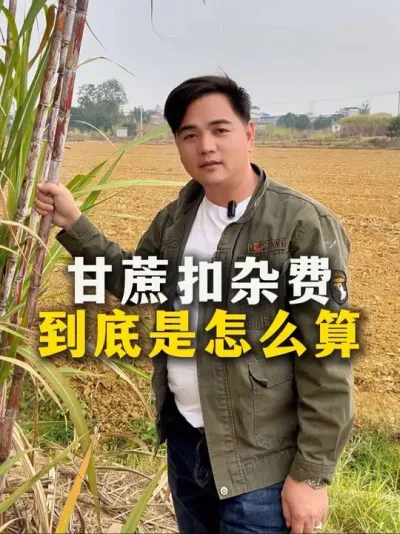 甘蔗扣杂费
到底是怎么算#甘蔗#甘蔗种植#农业种植#种植小技巧 #三农