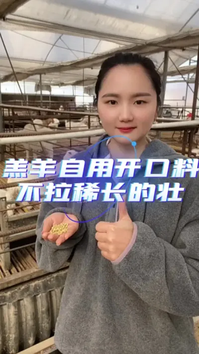 羔羊开口料#养羊人 #养羊技术 #羔羊开口料 #养羊技术分享