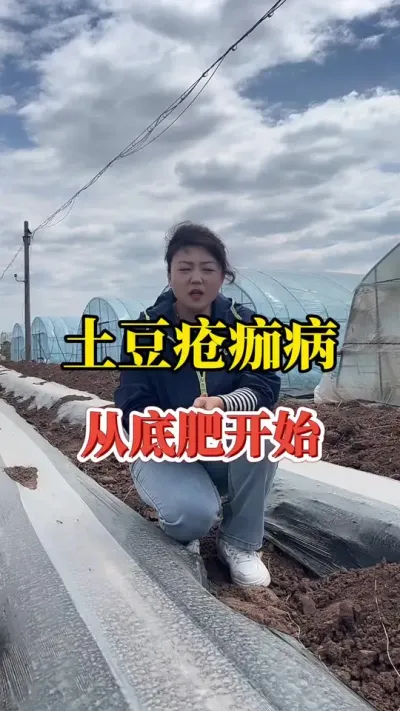 种土豆的怎么预防疮痂病#种植小技巧 #土豆高产种植 #土豆种植 #马铃薯