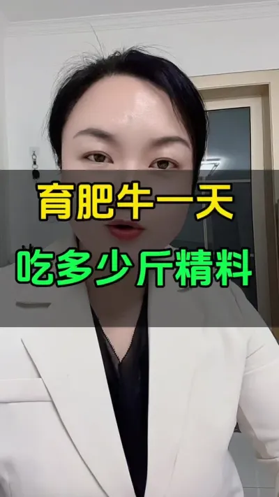 育肥牛一天吃多少精料合适呢#科学喂养 #养殖小知识 #西门塔尔 #每天分享养牛知识