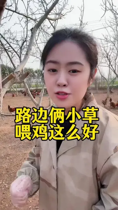 路边俩小草喂鸡这么好 #科学养鸡 #鸡鸭鹅养殖 #养鸡人 #养殖小妙招 #服务三农支持三农