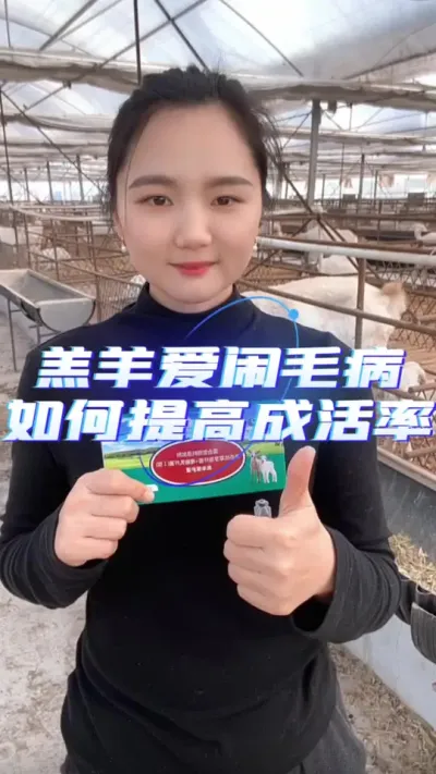 提高羊羔成活率就用羔羊保护液#养羊人 #养羊知识 #养羊技术分享