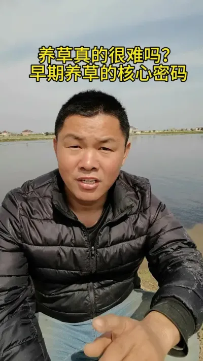 养草真的难吗？ #水产养殖 #河蟹养殖