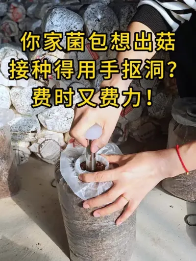 你家菌包想出菇,接种得用手抠洞？费时又费力！这玩意你要是没有，那真是浪费了！#平菇种植 #打孔器 #菌种打孔器