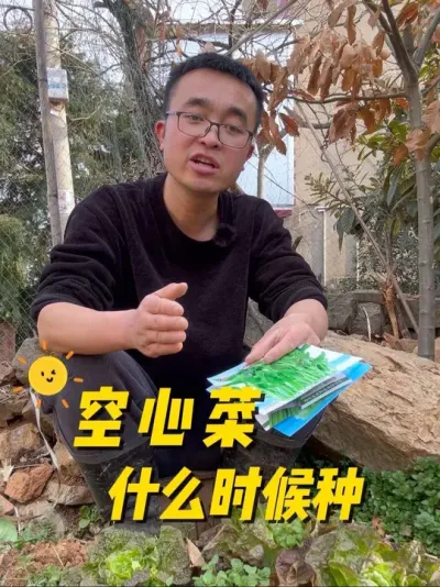 空心菜什么时候种？空心菜怎么种？#种植小技巧 #关注我一起学种菜 #每天分享蔬菜种植技巧 #我的小菜园 #空心菜种植