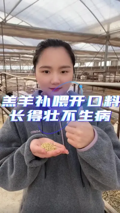 羊羔开口料#开口料 #羊羔饲料 #养羊人 #养羊技术
