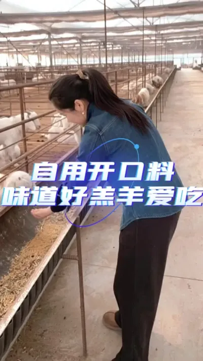 羊羔开口料#牛羊饲料 #育肥羊羔专用饲料 #养羊技术分享 #羊羔开口料