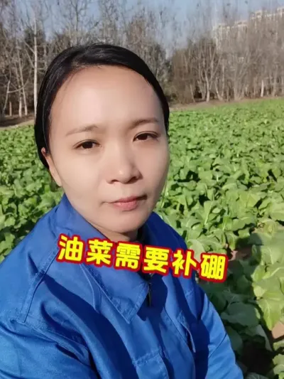 #油菜 #硼肥 #今日三农爆款