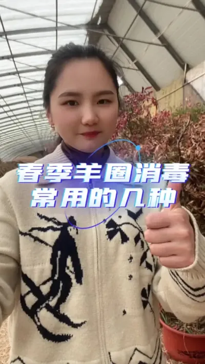 春季羊圈消毒常用的几种#羊价行情 #养羊知识 #养羊人 #自繁自养 #农村创业养殖
