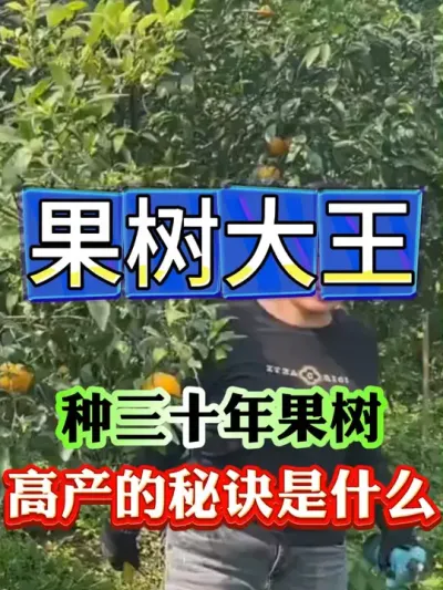 果树大王三十年高产的秘诀到底是什么#果树种植 #果树管理 #果园管理 #病虫害防治
