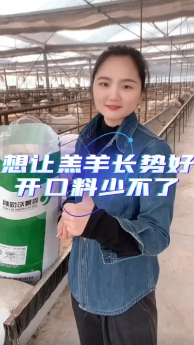 羔羊开口料#养羊人 #养羊知识 #农村养羊 #羊羔开口料槽