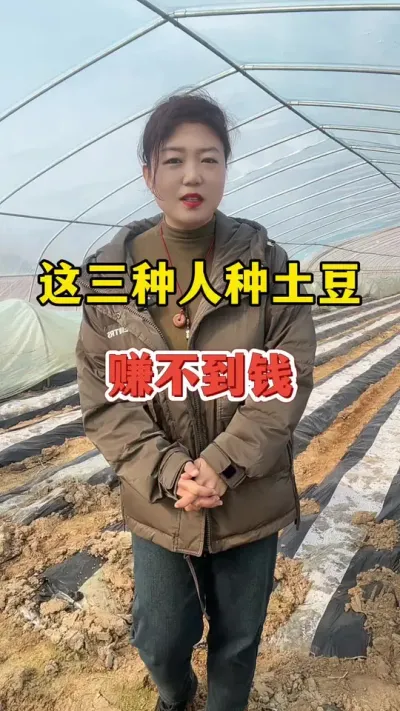 这三种人种土豆不会赚到钱#土豆🥔 #土豆种植技术与管理