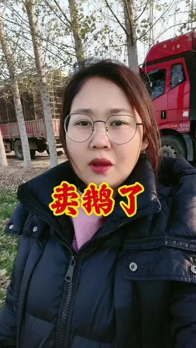 卖鹅了，还能赚钱吗#养鹅技术分享 #科学养鹅 #养鹅 #养鹅人 #鹅