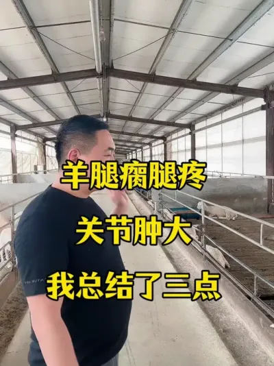 羊腿瘸腿拐关节肿大到底是怎么回事 #农村养牛羊  #每天分享养羊知识   #猪牛羊腿瘸   #猪牛羊腿瘸腿拐