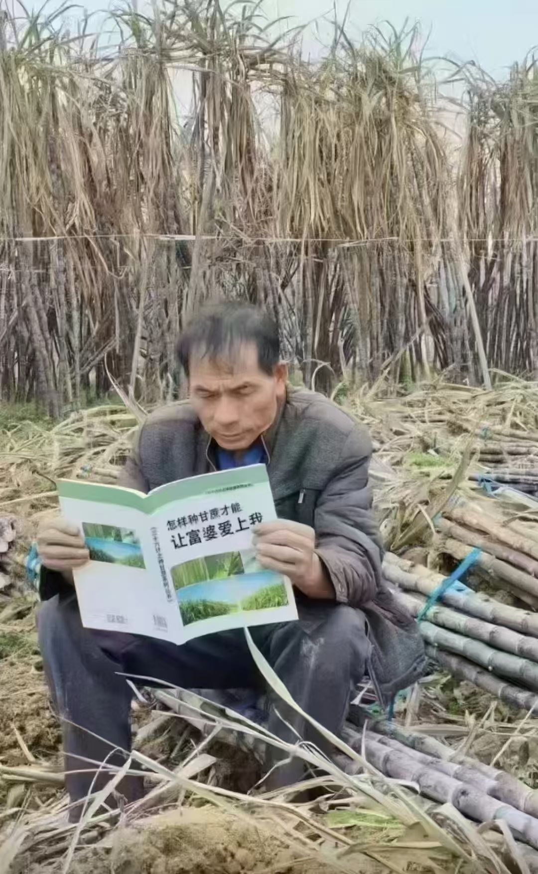 http://static.ixuenong.com/pxn/uploads/prod/thirdfile/2025/05/b3acc47f84b2784cdbf272bc346f5485.jpg