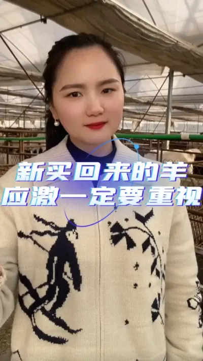 新买回来的羊应激一定要重视起来#养羊知识 #羊价行情 #养羊人 #自繁自养 #农村创业养殖