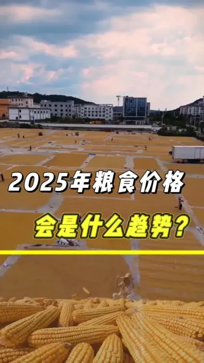 2025年粮食价格会是什么趋势#农业 #三农 #粮食价格 #玉米 #小麦