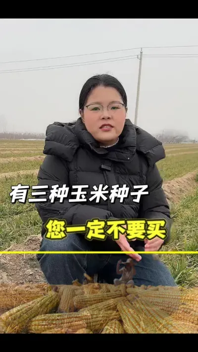 不可以买的玉米种 有三种玉米种，您可一定不要买#玉米 #农业种植 #农业 #玉米种子 #玉米高产管理