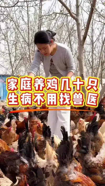 家庭养鸡几十只，生病不用找兽医 #鸡鸭鹅养殖 #科学养鸡 #鸡病防治 #养殖小妙招 #服务三农支持三农
