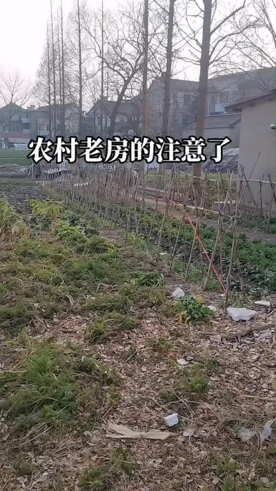 #农村老家有房的注意了#农村老家#宅基地使用权 #老百姓关心的话题