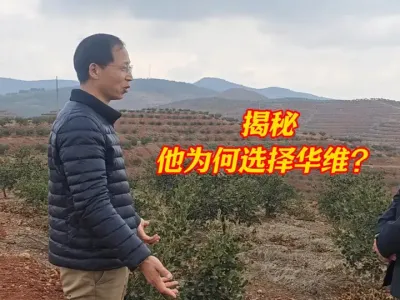 技术优势？服务到位？情怀驱动？&hellip;&hellip;从油茶种植户到加盟华维成为生态合作伙伴，他为何死磕华维灌溉？#华维灌溉  #华维集团 @华维智慧灌溉  #智慧灌溉幸福百姓 #可控农业振兴乡村