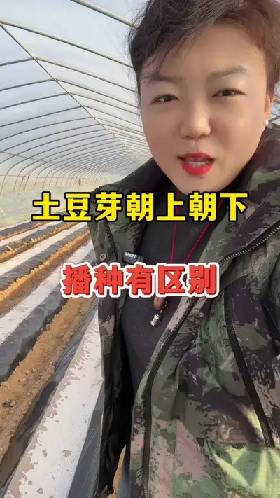 播种芽朝上朝下有区别#土豆高产种植 #土豆 @抖音小助手