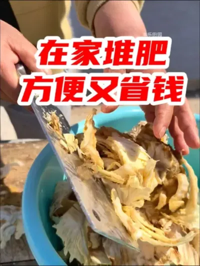 自己 #在家种菜 一定要学会自己 #堆肥 不仅天然绿色无污染，而且肥效好，还可以省下一笔肥料钱。#种植小技巧 #自己种的纯天然的绿色蔬菜 #em堆肥菌