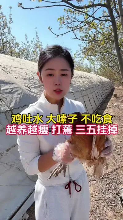 鸡吐水大素子不吃食越养越瘦三五挂掉 #养鸡#科学养鸡#鸡病防治#散养土鸡#养鸡妙招