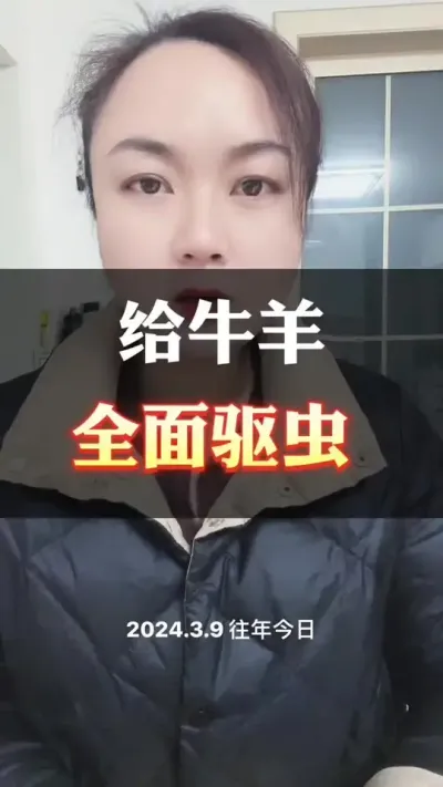给牛羊驱虫，你做对了吗？#养殖户 #肉牛养殖 #全国养牛人 #科学喂养 #西门塔尔