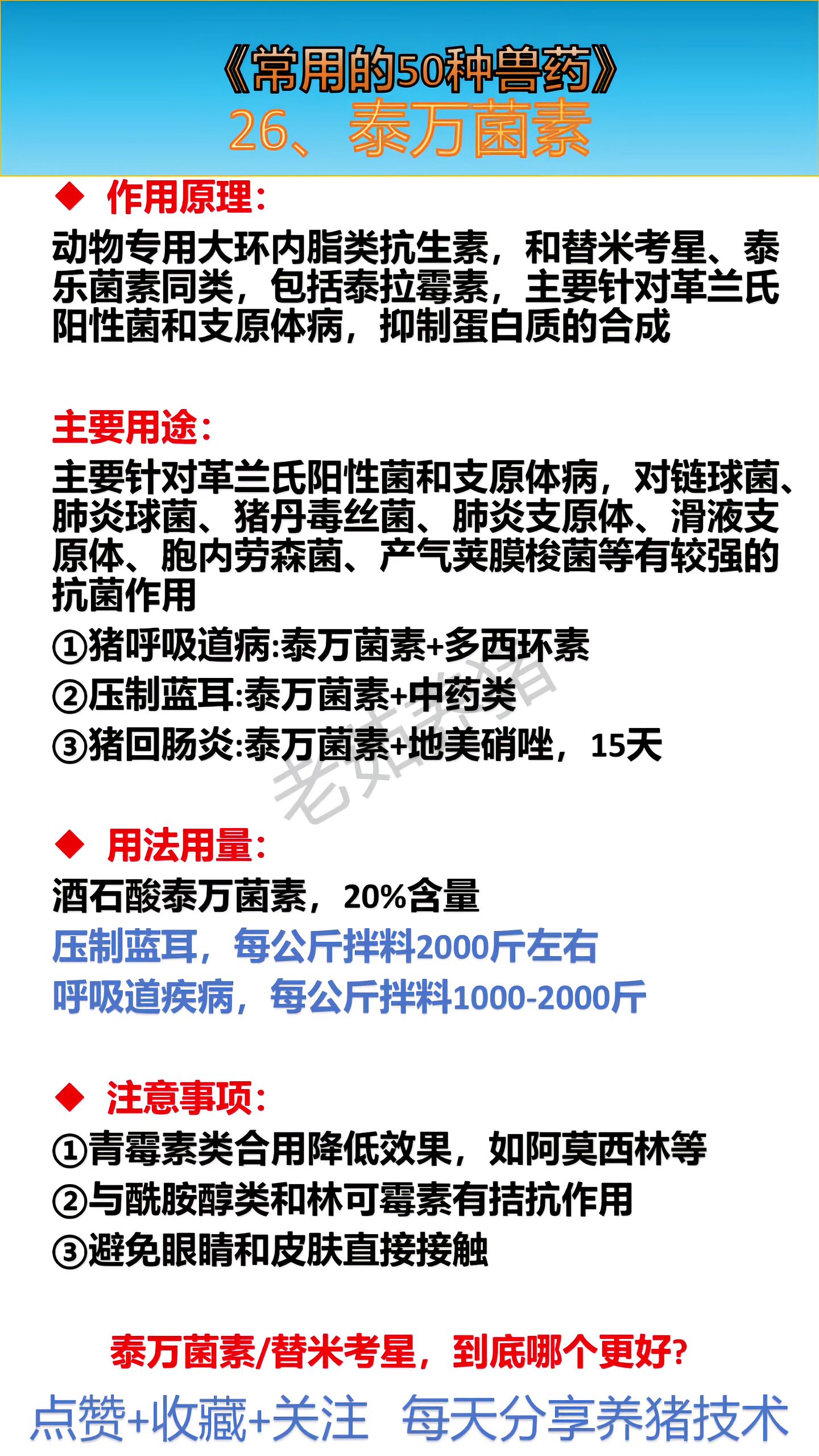 http://static.ixuenong.com/pxn/uploads/prod/thirdfile/2025/05/b65670826b4522003922ac49bd1c14de.jpg