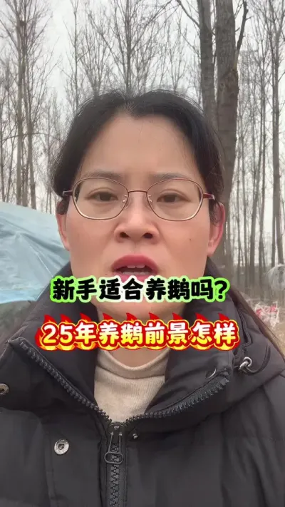 新手适合养鹅吗？25年养鹅前进怎么样？#养鹅技术分享 #养鹅 #养鹅人 #狮头鹅 #三农