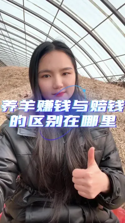 养羊赚钱与赔钱的区别在哪里#养羊人 #养羊技术 #羊价行情 #自繁自养 #农村创业养殖