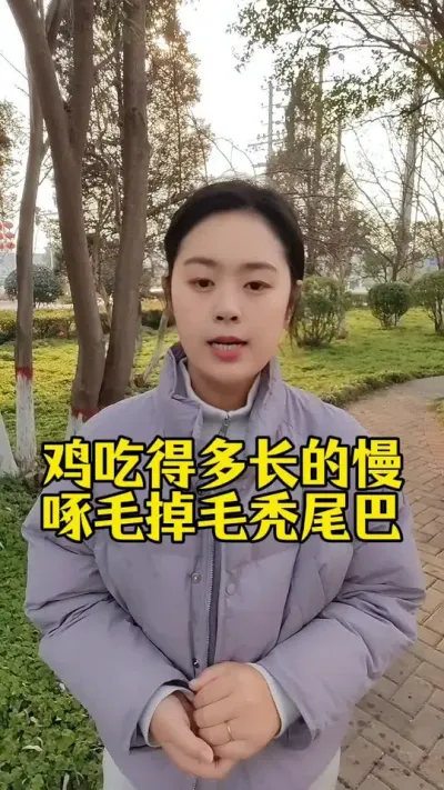 鸡吃的多长的慢，啄毛掉毛秃尾巴怎么办#养鸡#养鸡妙招#科学养鸡#散养土鸡