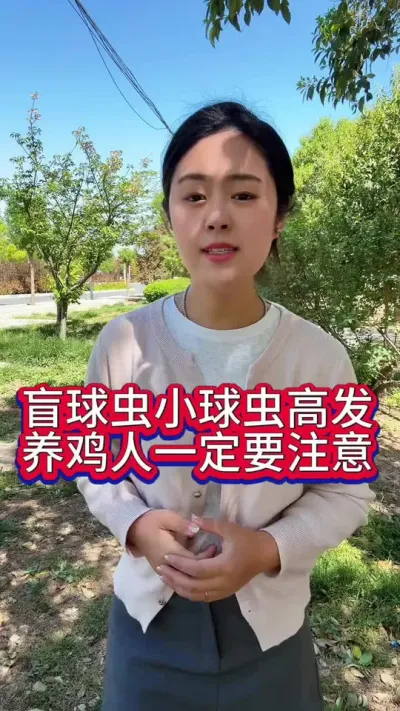 盲球虫小球虫高发养鸡人一定要注意#养鸡#科学养鸡#散养土鸡#养鸡妙招#鸡鸭鹅养殖