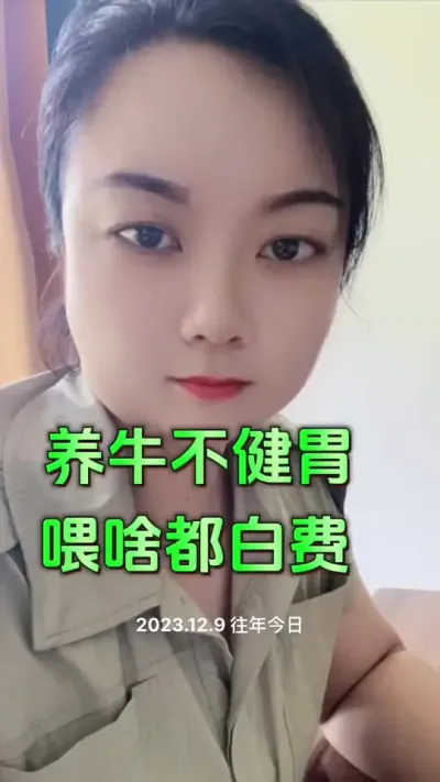 养牛就是养牛瘤胃#西门塔尔育肥牛 #养殖户 #养牛场 #科学养殖 #每天分享养牛知识