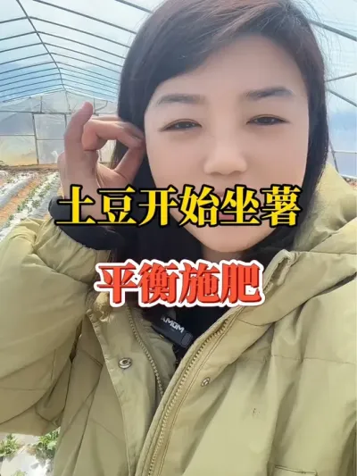 土豆开始坐薯平衡来施肥#土豆 #春耕进行时 #春耕 @抖音小助手