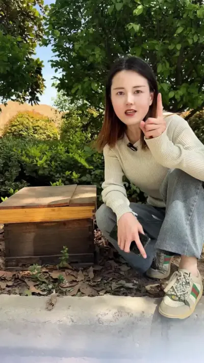 #蜜蜂🐝 #养蜂技术 #三农 #养蜂人解说