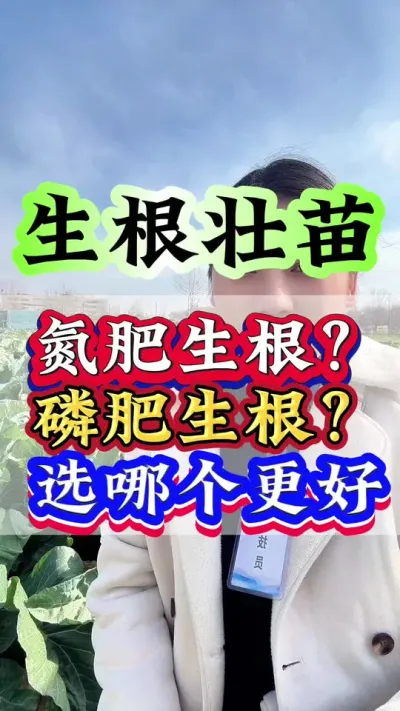 氮肥生根磷肥生根选哪个更好#种植小技巧 #农业种植 #抖音助农 #三农 #生根壮苗