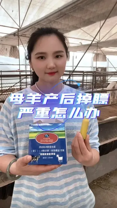 健胃增食消食快#养羊创业 #养羊创业 #三农养殖