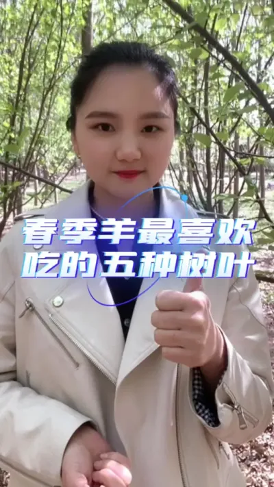 春季羊最喜欢吃的五种树叶#养羊 #自繁自养 #养羊技术 #农村创业养殖 #三农