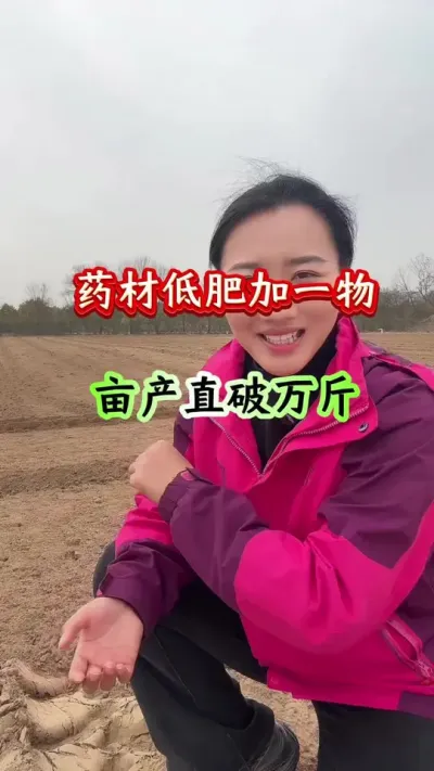 药材种植 药材低肥加一物亩产直破万斤 #药材种植 #党参种植 #药材高产