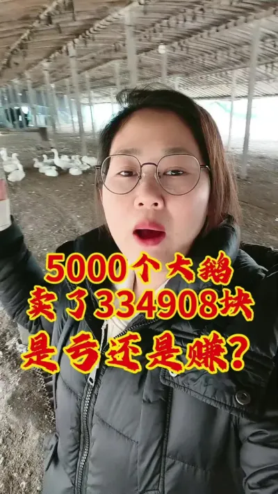 5000个大鹅卖了334908块，是亏还是赚了#养鹅技术分享 #养鹅 #养鹅人 #鹅 #科学养鹅