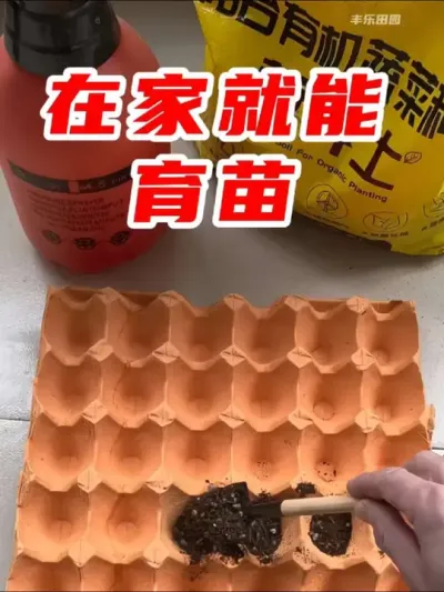 在家就能自己育苗了 #育苗 #种菜 #家庭种植 #阳台种菜 #营养土